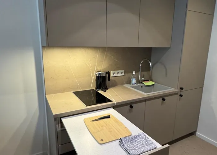 New Cozy Designer In Uzupis Walk To Old Town In A Luxury Building Garden View Balcony