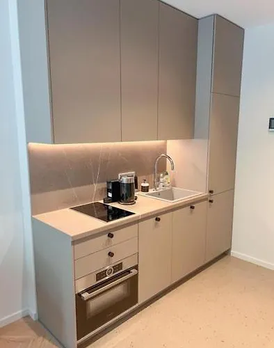 New Cozy Designer In Uzupis Walk To Old Town In A Luxury Building Garden View Balcony 维尔纽斯