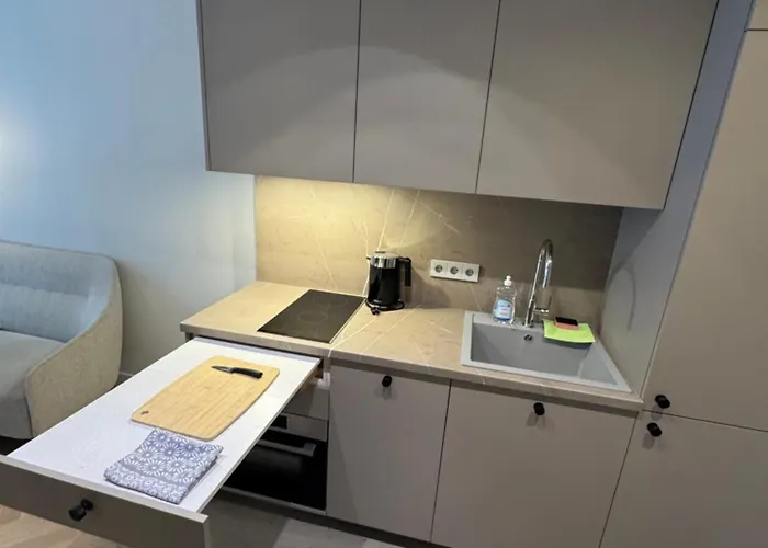 New Cozy Designer In Uzupis Walk To Old Town In A Luxury Building Garden View Balcony Апартаменты Вильнюс